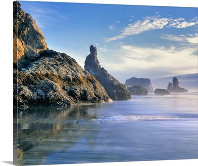 The Pacific Ocean bathes the sea stacks at Face Rock Wayside, Oregon