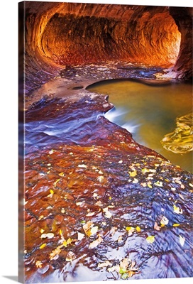 The Subway along North Creek, Zion National Park, Utah, Usa