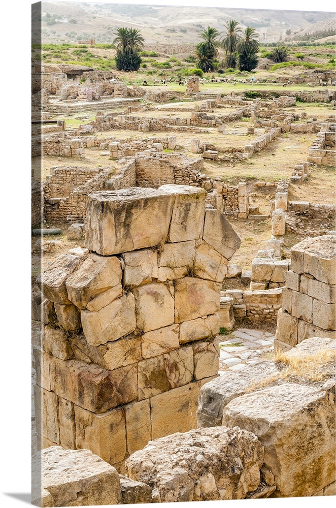 The Theater, Roman ruins of Bulla Regia, Tunisia, North Africa