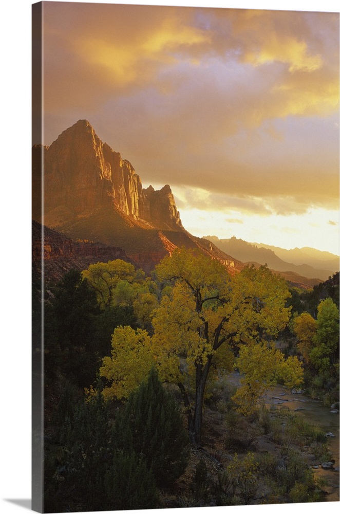 USA, Utah, Zion National Park. The Watchman in the distance with Virgin River in foreground reflecting a sunset sky.