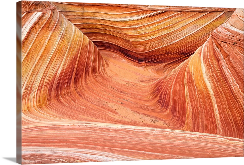 The Wave, Coyote Buttes, Paria-Vermilion Cliffs Wilderness, Arizona USA.