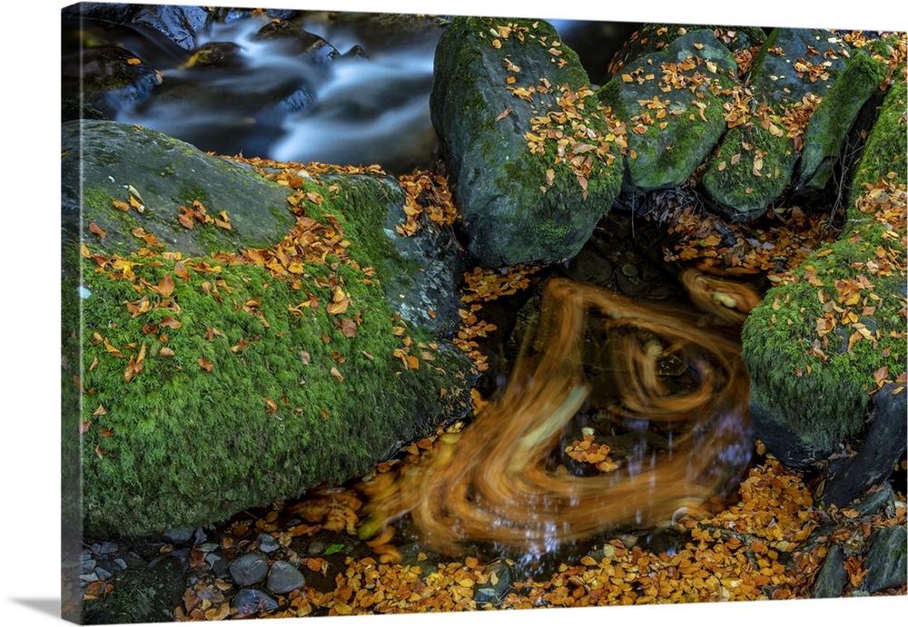 Torc Creek in Killarney National Park, Ireland