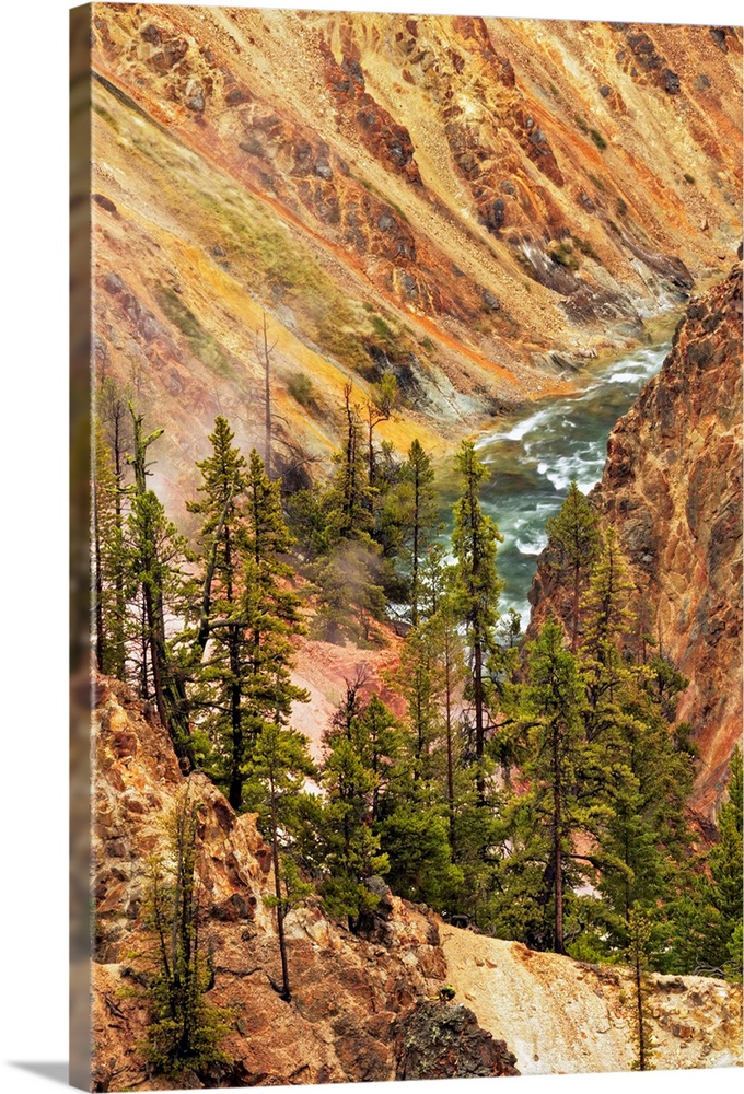 Trees and colorful patterns on canyon walls, Grand Canyon of Yellowstone, Yellowstone National Park, Montana/Wyoming