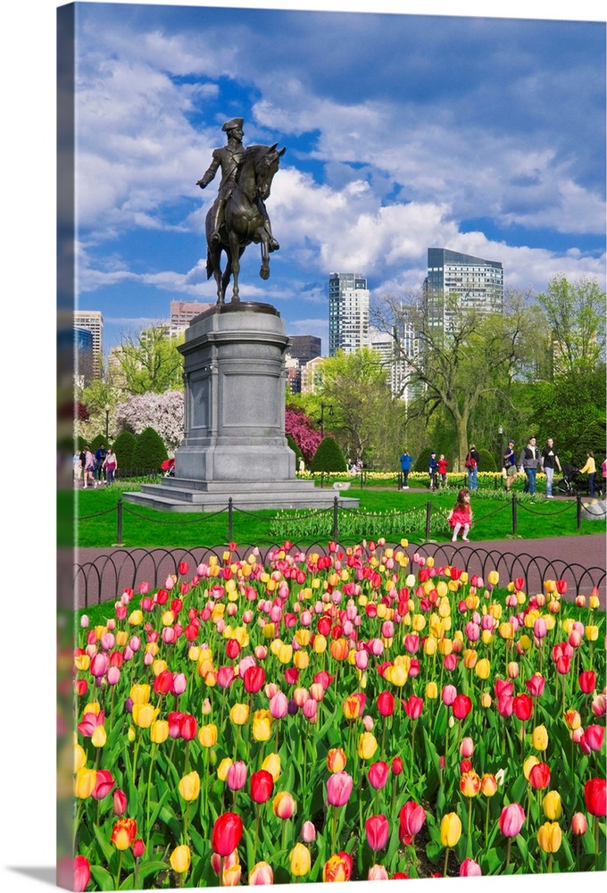 Tulips and George Washington statue at the Boston Public Garden, Boston, Massachusetts USA
