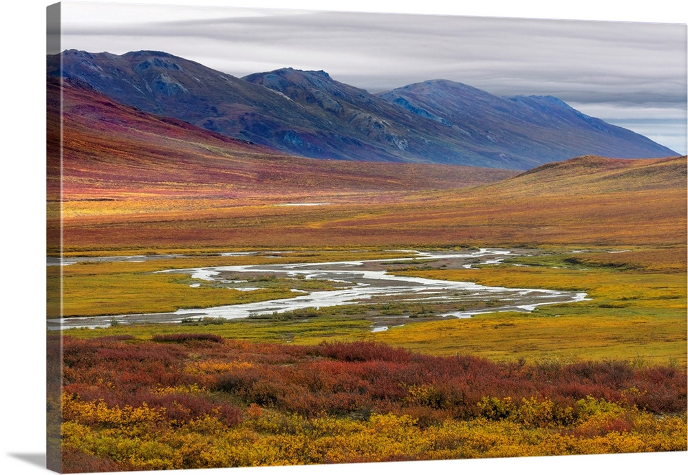 USA, Alaska, Brooks Range. Tundra in fall color.