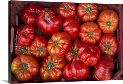 Turkey, Gaziantep, fresh vegetables and fruits are plentiful, Tomatoes