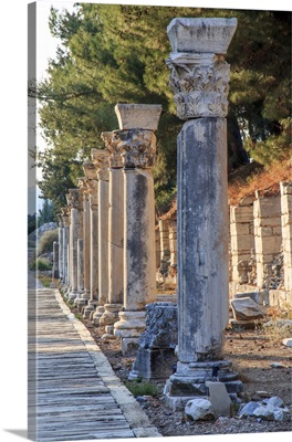 Turkey, Izmir Province, Selcuk, Ancient City Ephesus