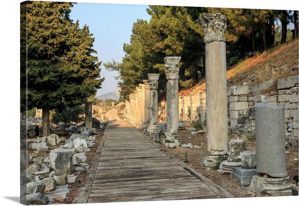 Turkey, Izmir Province, Selcuk, ancient city Ephesus, ancient world center of travel and commerce on the Aegean Sea at mou...