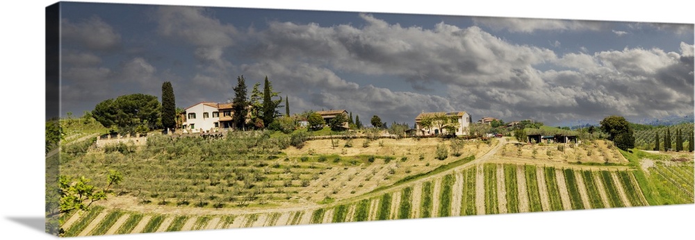 Tuscan landscape under thunder clouds. Farmhouse with vineyard. Tuscany, Italy.