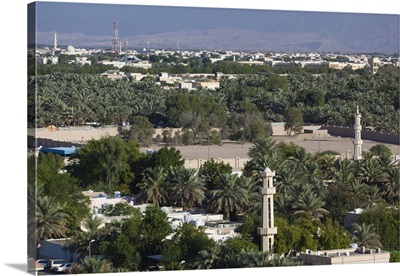 UAE, Al Ain, Elevated View Of Town And The Al Ain Oasis