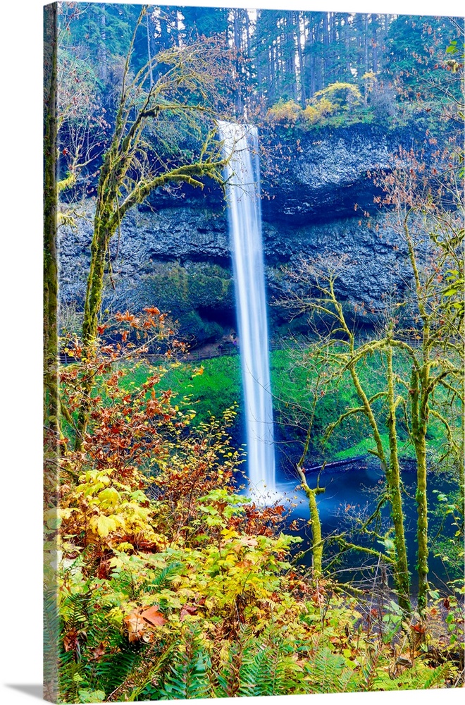 United States, Oregon, Silver Falls State Park, South Falls