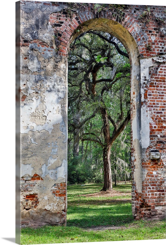 United States, South Carolina, Yemassee, Old Sheldon Church Ruins