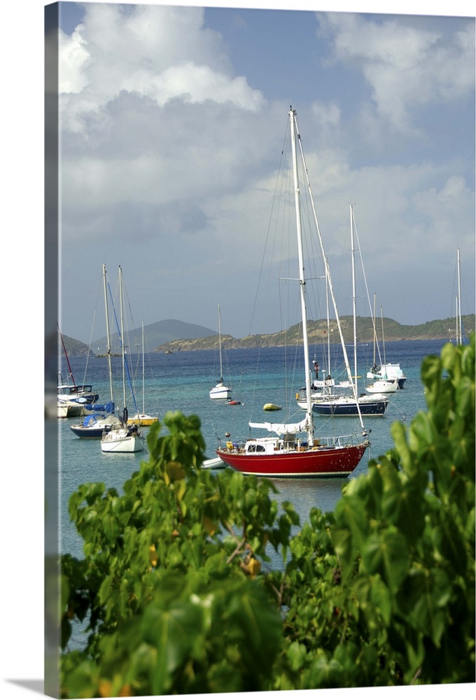 Caribbean, U.S. Virgin Islands, St. John, Cruz Bay. Boats in the harbor at Cruz Bay.