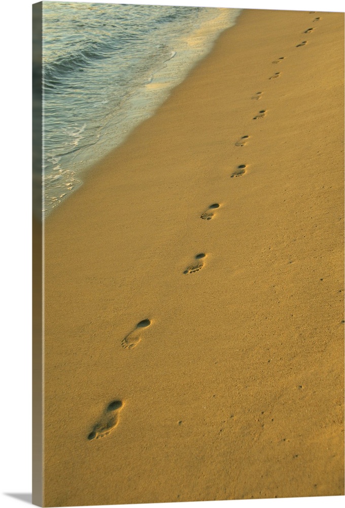 Caribbean, U.S. Virgin Islands, St.Thomas, Lindergh Bay, Emerald Beach. Foot prints in the sand.