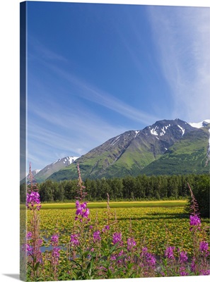 USA, Alaska, Kenai Peninsula, Mountain And Lake Landscape