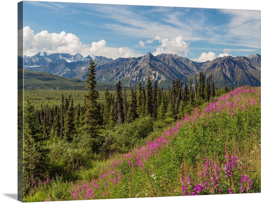 USA, Alaska. Landscape of Chucach Mountains.