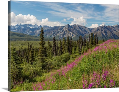 USA, Alaska, Landscape Of Chucach Mountains