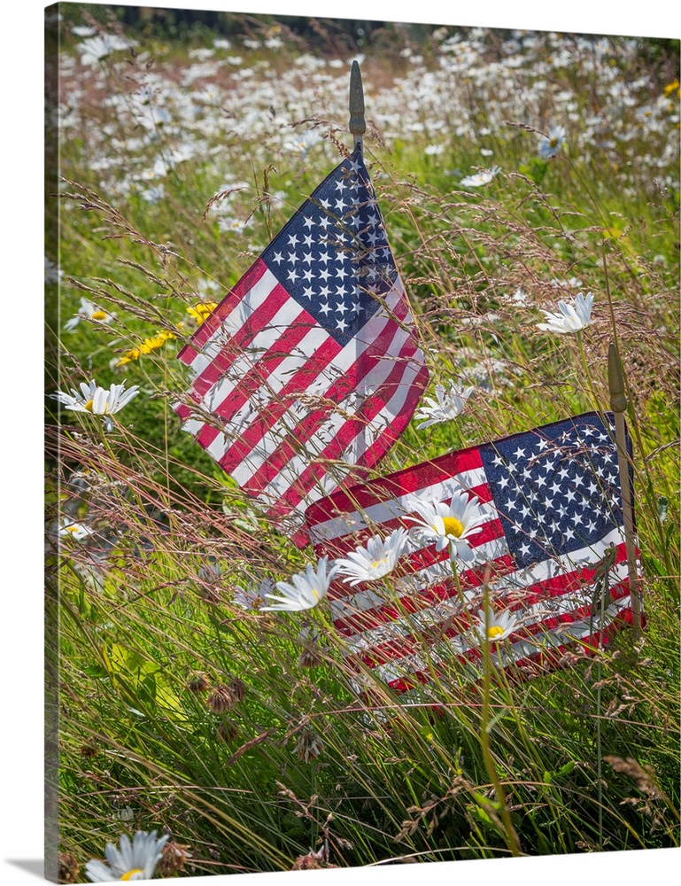 USA, Alaska, Ninilchik. US flags in American Legion Cemetery.