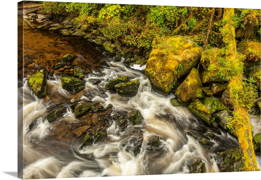 USA, Alaska, Tongass National Forest. Anan Creek scenic.