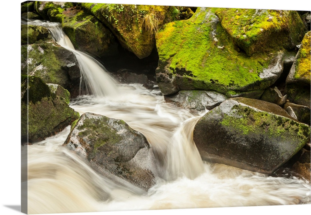 USA, Alaska, Tongass National Forest. Anan Creek scenic.