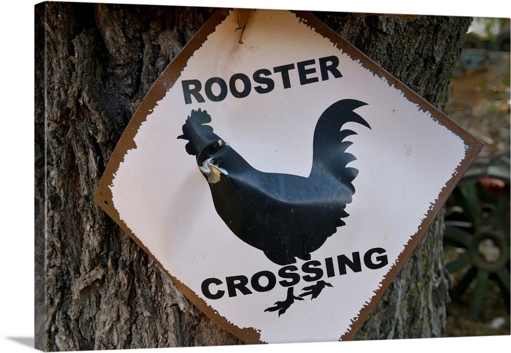 USA, Arizona, Jerome, Rooster Crossing sign, Gold King Mine.