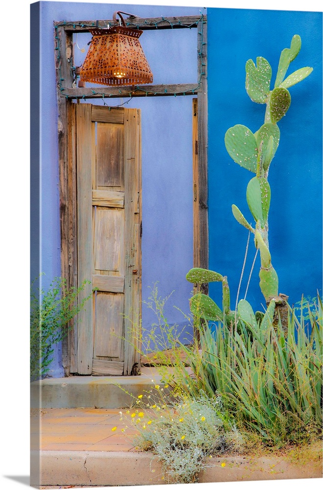 USA, Arizona, Tucson, Blue House.