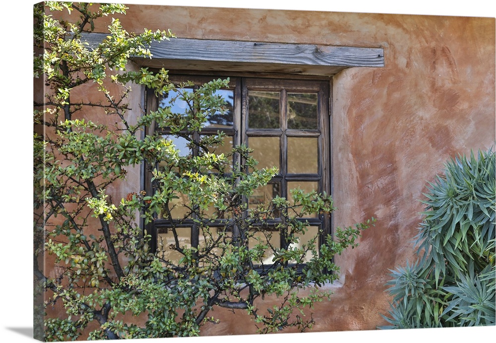 USA, California, Carmel. Inside the grounds at the Carmel Mission Basilica Museum.