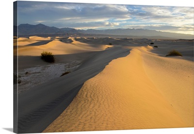 USA, California, Death Valley, Mesquite Flat Sand Dunes At Sunrise