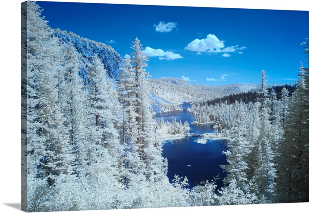 USA, California, Mammoth Lakes. Infared overview of Twin Lakes.
