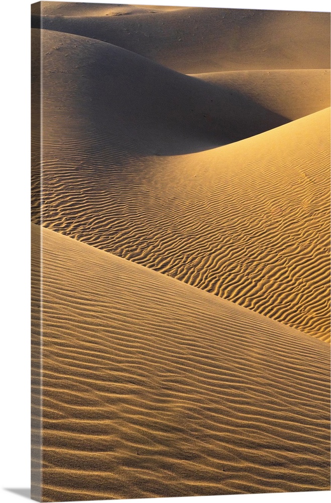 USA, California. Mojave Trails National Monument, Cadiz Dunes.