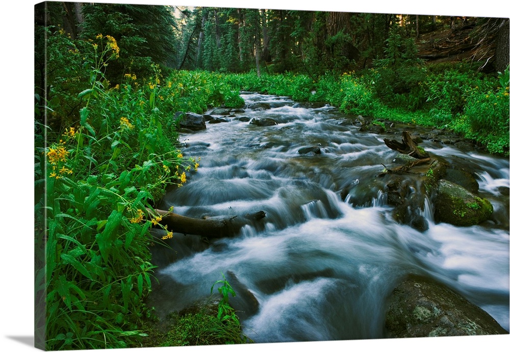 USA, California. Scenic of Coldwater Creek.