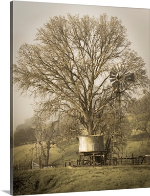 USA, California, Shell Creek Road, Windmill, Water Tank And Oak Tree