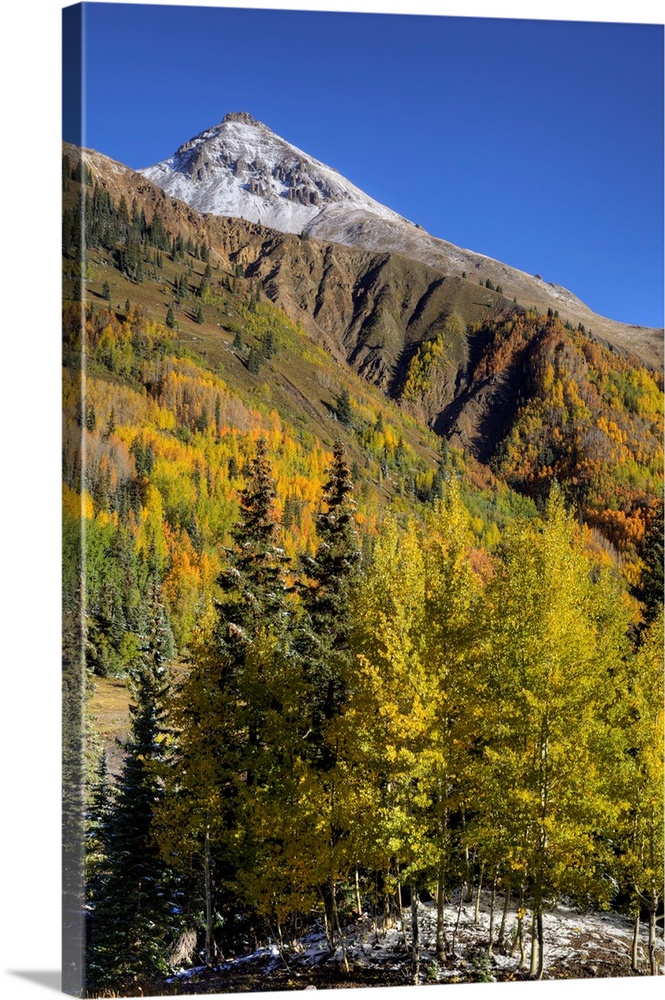 USA, Colorado. autumn color in the San Juan Mtns, Colorado