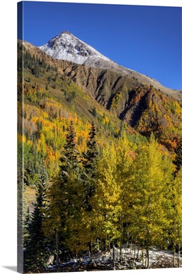 USA, Colorado, Autumn color in the San Juan Mtns, Colorado