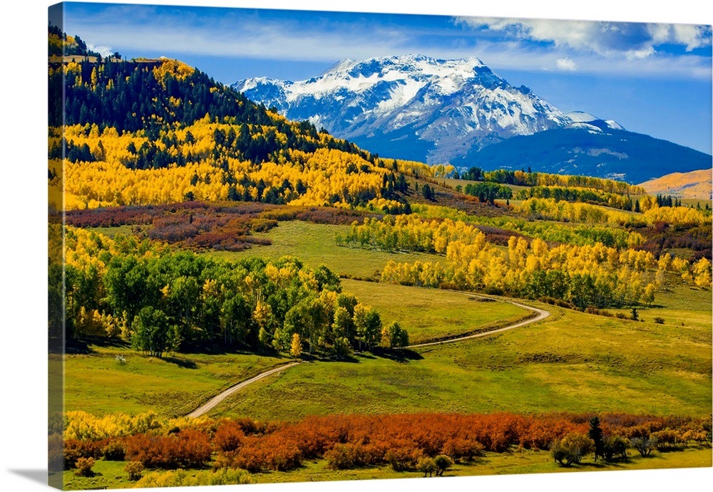 USA, Colorado, fall colors, vista Wall Art, Canvas Prints, Framed