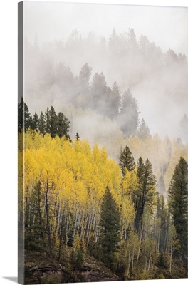 USA, Colorado, San Juan Mountains, Fog Across Mountainside In Autumn
