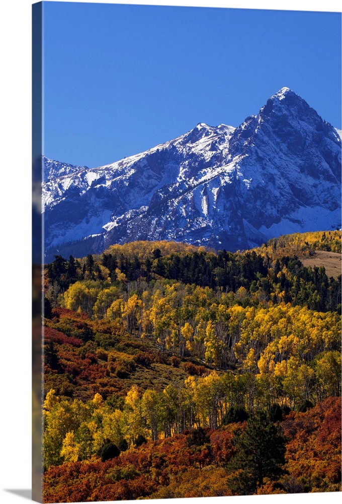 USA, Colorado, San Juan Mountains. Mountain and forest in autumn.