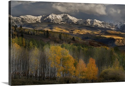 USA, Colorado, San Juan Mountains, Mountains And Forest Landscape