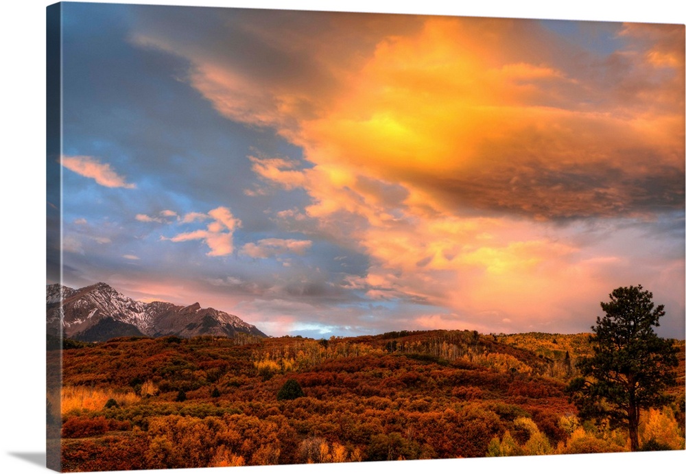USA, Colorado, San Juan Mountains. Sunset on forest landscape.
