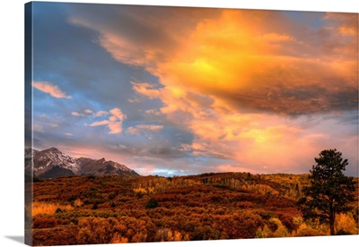 USA, Colorado, San Juan Mountains, Sunset on forest landscape