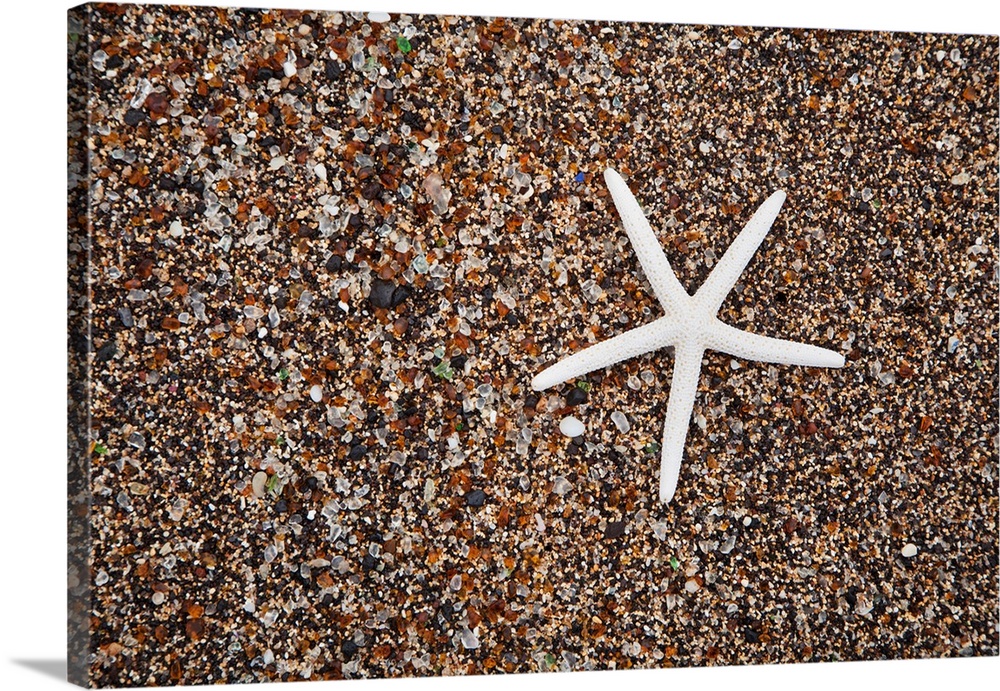 USA, Hawaii, Kauai. Starfish skeleton on Glass Beach.