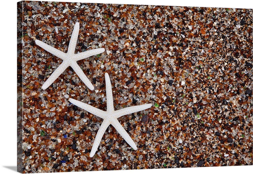 USA, Hawaii, Kauai. Starfish skeletons on Glass Beach.