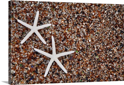 USA, Hawaii, Kauai, Starfish skeletons on Glass Beach