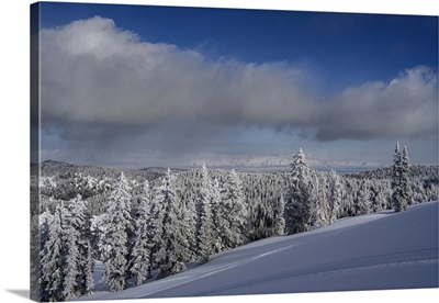 USA, Idaho, Winter Landscape Near Bear Lake