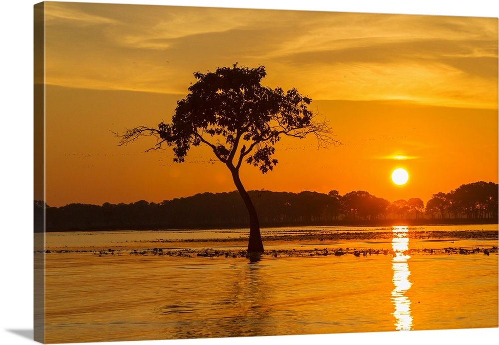 USA, Louisiana. Sunrise on Miller's Lake.