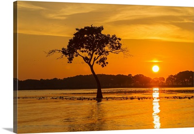 USA, Louisiana, Sunrise on Miller's Lake