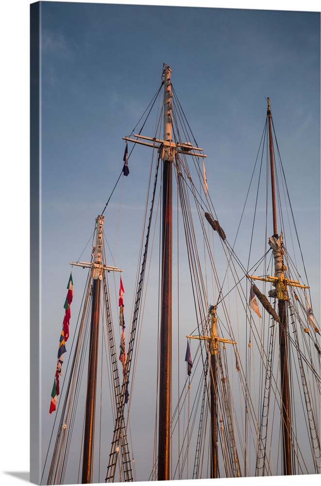 USA, Massachusetts, Cape Ann, Gloucester, America's Oldest Seaport, Gloucester Schooner Festival, schooner masts at dusk