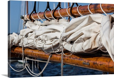 USA, Massachusetts, Cape Ann, Gloucester Schooner Festival, schooner sails