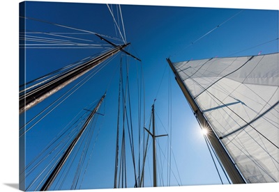 USA, Massachusetts, Cape Ann, Gloucester Schooner Festival, schooner sails