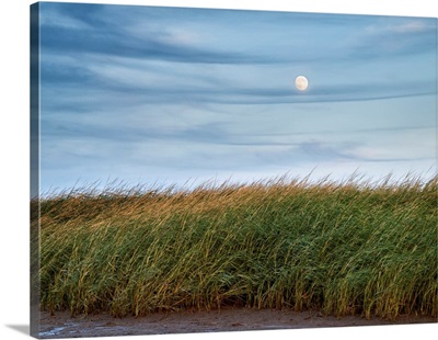 USA, Massachusetts, Cape Cod, Full moon rising at First Encounter Beach